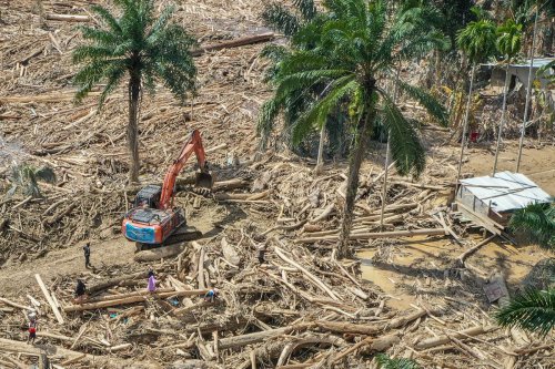Pemerintah Buat Aturan Penggunaan Kayu Gelondongan Sisa Banjir Sumatera, Ini Alasannya