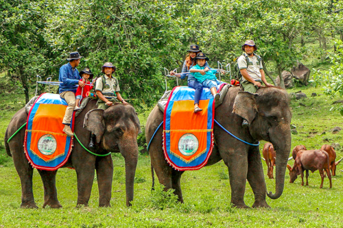 Cek Harga Tiket Taman Safari Prigen Lebaran 2025
