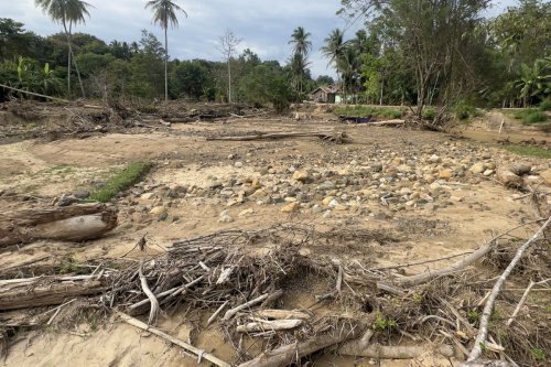 Dana Rp 336 Miliar Disiapkan untuk Genjot Rehabilitasi Sawah Pascabanjir Sumatera