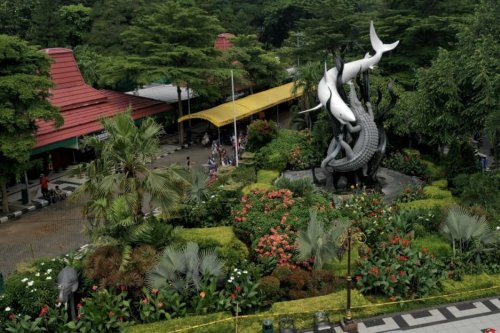 Kebun Binatang Surabaya Sudah Ada Sejak 1916, Ini Cerita Lengkapnya...