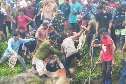 Kronologi Wanita di Simeulue Aceh Tewas Diterkam Buaya, Ditemukan Saat Masih Tercengkeram
