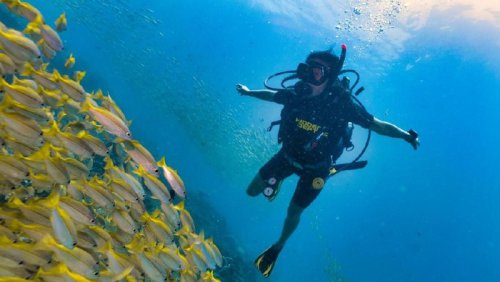 Raja Ampat Terancam Rusak, Ini Alternatif Tempat Diving