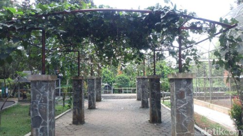 Top 5+ Kota Sejuk di Indonesia yang Cocok buat Pensiunan