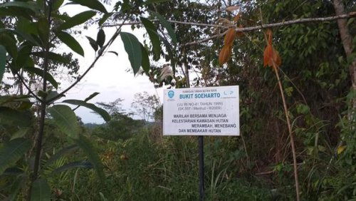 Mengenal Lagi Bukit Soeharto yang Tiba-tiba Masuk Ibu Kota Baru
