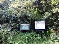 Air Terjun di Ibu Kota Baru: Kenyataan Tak Seindah Instagram