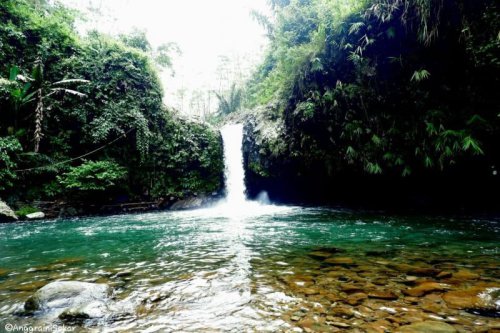 Rekomendasi Wisata Populer di Purwokerto nan Sejuk