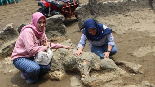 Apakah Batu Malin Kundang Itu Asli atau Tidak?