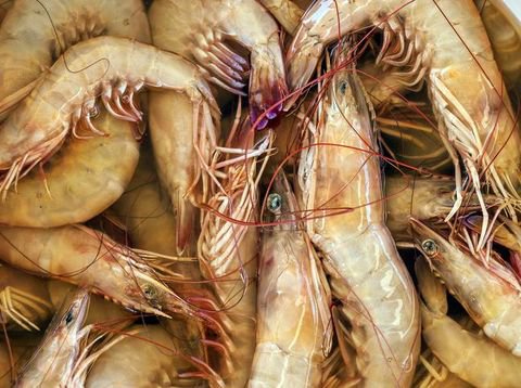 Resep Udang Tumis Sayuran yang Segar dan Praktis Untuk Makan Malam