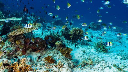 Top 5+ Aktivitas Menarik di Sumbawa yang Mesti Dicoba Sekali Seumur Hidup