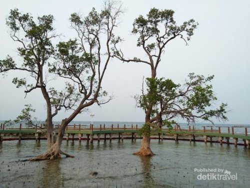Top 5+ Tempat Wisata di Kepulauan Seribu yang Masih Sepi dan Murah