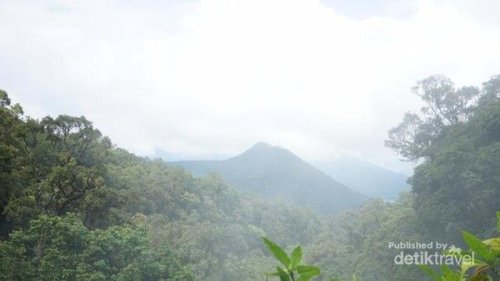 Top 12+ Gunung di Indonesia yang Cocok untuk Pendaki Pemula