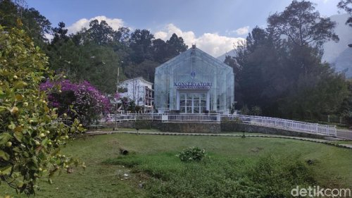 Harga Tiket Masuk Kebun Raya Cibodas, Lokasi, dan Daya Tariknya