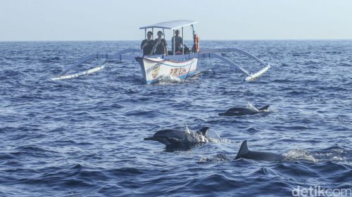 Catat! Ini 6 Tips Wisata ke Bali Utara