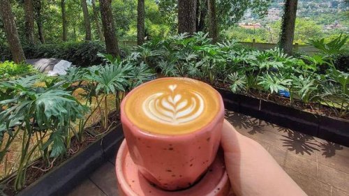 Mau Ngopi Sejuk nan Romantis, Cobalah ke Perbukitan Pasir Angin Bogor