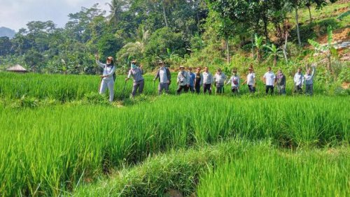 Jelajahi Sentul: Rekomendasi Tempat Seru Dekat Jakarta