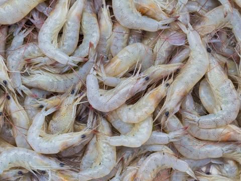 Resep Sambal Goreng Udang dan Kentang, Lauk Klasik yang Pedas Mantap