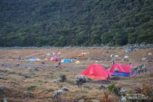 Baru Mau Mendaki? Ini 7 Gunung yang Pas buat Pemula