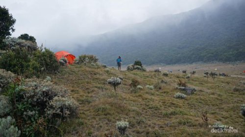 Top 7+ Gunung di Jawa Barat untuk Pendaki Pemula, Trek Landai-Panorama Cantik