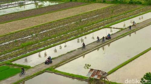 Mengenal Desa Wisata Bilebante Nan Hijau di Lombok Tengah