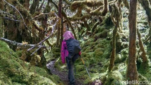 Top 10+ Tips Bertahan Hidup saat Tersesat di Gunung, Ikuti agar Bisa Selamat