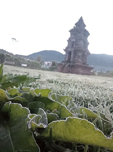 Pesona Embun Es Arjuna Keindahan Alam Bak Negeri Dongeng di Jawa Tengah