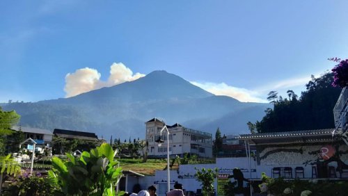 Fakta Gunung Lawu, Lokasi Race Trail Run Siksorogo Lawu Ultra