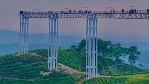 Keajaiban Jembatan Kaca Transparan Pemisah Kebun Teh dan Langit