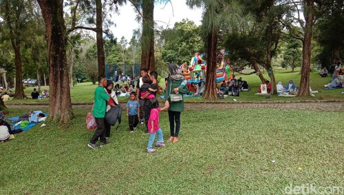 Healing Tipis di Pinggir Kota, Cuma Modal Rp 150 Ribu