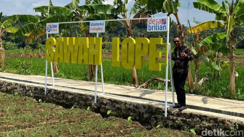 Sawah Lope Desa Cikaso, Nikmatnya Lihat Persawahan Sambil Ngebotram