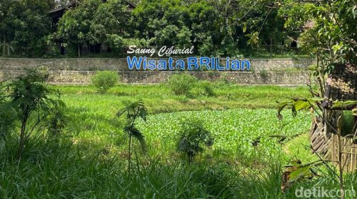Garut Punya Desa Wisata Juara: Saung Ciburial, Dulu Miskin, Kini Mendunia!