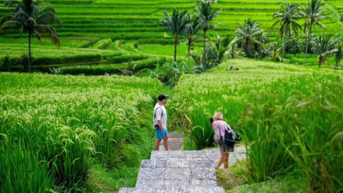 Mengenal Desa Wisata Jatiluwih, Bali Siap Terima Delegasi World Water Forum