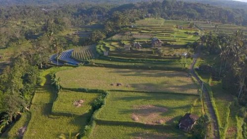 Pesona Angseri: Desa BRlLiaN di Bali Punya Tata Kelola Air Terbaik-UMKM Bambu Mendunia!