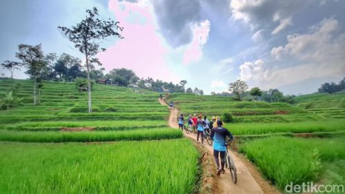 Bukan Ubud, Sawah Hijau nan Viral Ini Ada di Bandung