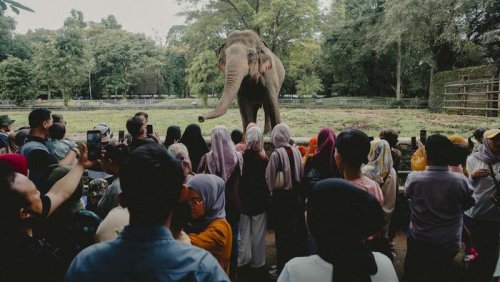 Jika Kamu Terjebak di Tempat Liburan Overcrowded...