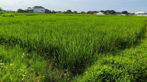 Top 6+ Kota Favorit untuk Liburan Slow Travel di Indonesia