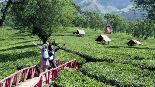 Top 5+ Destinasi Wisata yang Sama Dinginnya dengan Kota Batu