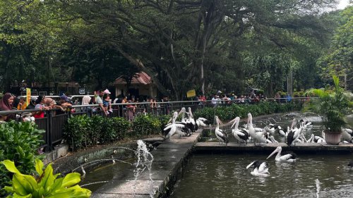 Top 5+ Tempat Back to Nature yang Ramah Anak, Murah, Sekitar Jakarta