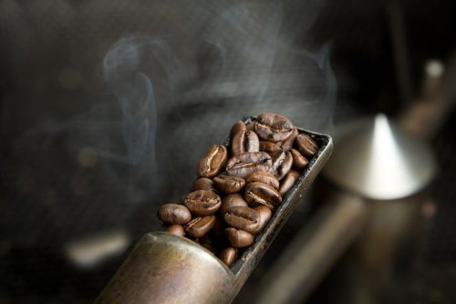 Terungkap! 3 Hal Teknis yang Bikin Rasa Kopi Pahit Tidak Enak