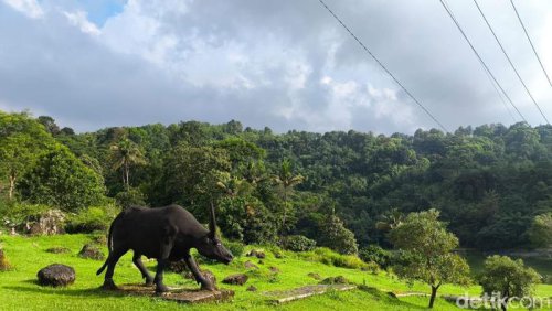 Kebun Raya Kuningan, Permata Hijau di Jantung Rebana Metropolitan