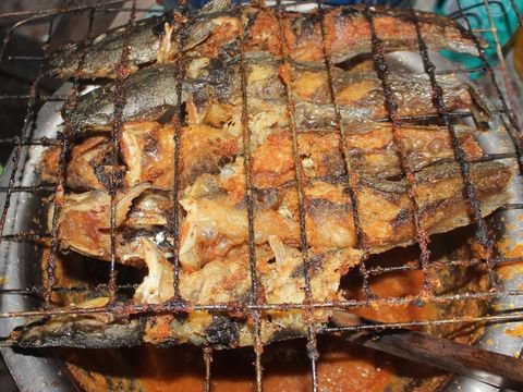 Resep Ikan Lele Bakar Bumbu Padang, Pedas Gurihnya Bikin Nagih