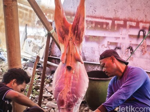 Apakah Muslim Boleh Konsumsi Torpedo Kambing?