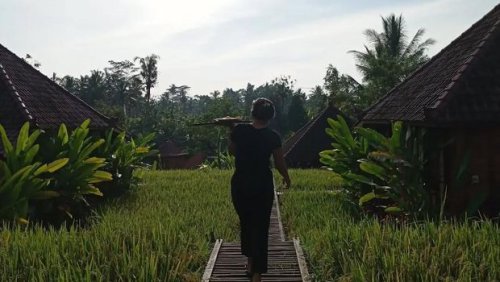 Penginapan Unik dengan View Sawah Ini di Bawah Rp 600 Ribu Semalam