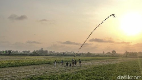 Wisata Dadakan di Kulon Progo, Lihat Atraksi Layangan Naga