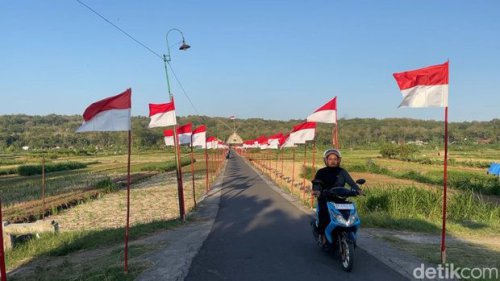 Penampakan Sawah Seribu Bendera di Kulon Progo