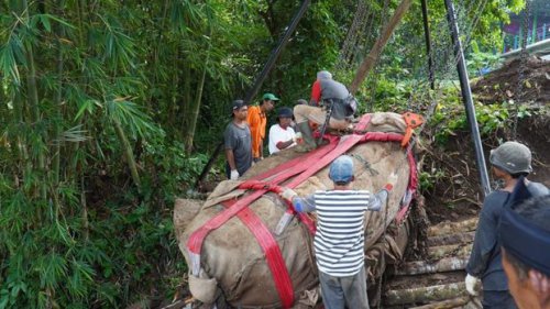 Fakta-Fakta Prasasti Muara Cianten, Tinggalan Kerajaan Tarumanegara, di Bogor