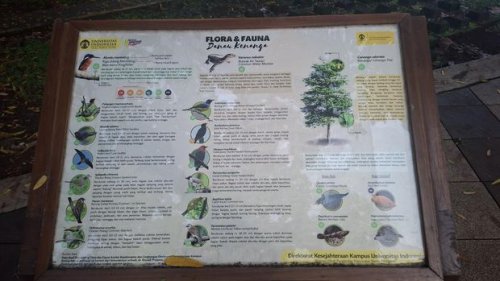 Danau Kenanga UI, Suaka Bagi Burung-burung Bersuara Merdu