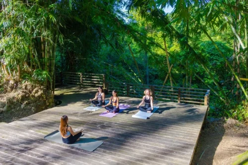 Wellness Tourism Ubah Bali Jadi Ruang Hidup Seimbang