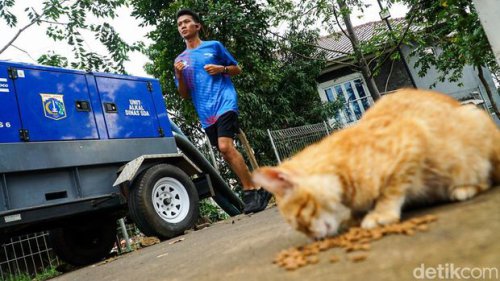 Sore di Waduk Brigif: Jogging dan Mancing, Juga Cari Ular