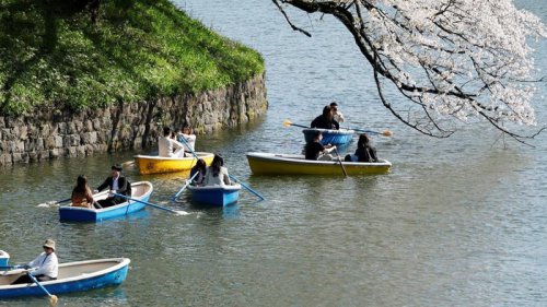 Top 10+ Hal Perlu Diketahui tentang Jepang, Cara Pakai Sumpit Sampai Buang Sampah