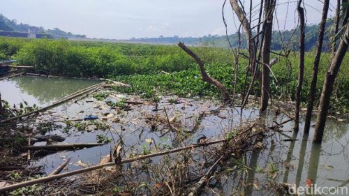 Nestapa Wisata Bendungan Leuwikeris Ciamis, Dipenuhi Eceng Gondok